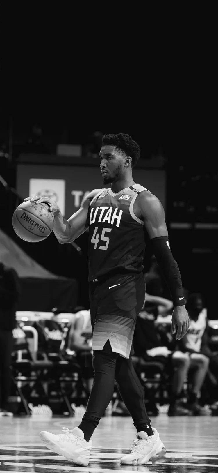 的掌声交织 的掌声交织